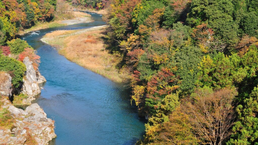 多摩川